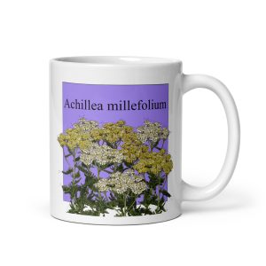 Tazza con illustrazione botanica di Achillea millefolium