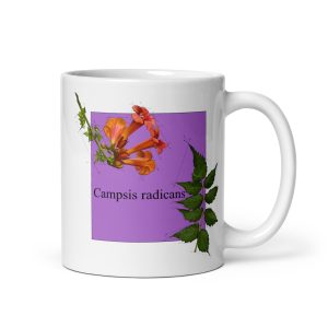 Tazza con illustrazione botanica di Campsis radicans