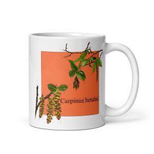 Tazza con illustrazione botanica diCarpinus betulus