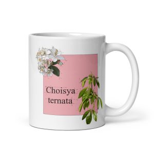 Tazza con illustrazione botanica di Choisya ternata