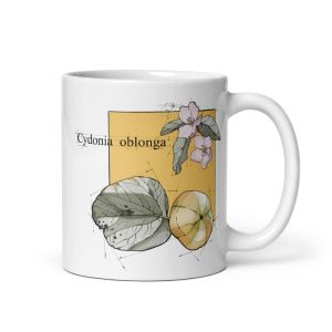 Tazza con illustrazione botanica di Cydonia oblonga
