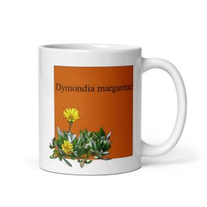 Tazza con illustrazione botanica di Dymondia margaretae