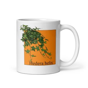 Tazza con illustrazione botanica di Hedera helix