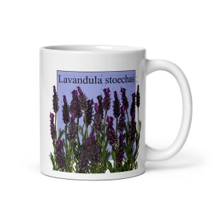 Tazza con illustrazione botanica di Lavandula stoechas