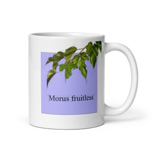 Tazza con illustrazione botanica di Morus fruitless