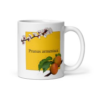 Tazza con illustrazione botanica di Prunus armeniaca