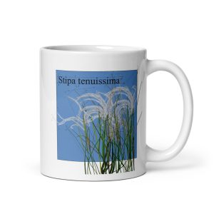 Tazza con illustrazione botanica di Stipa tenuissima