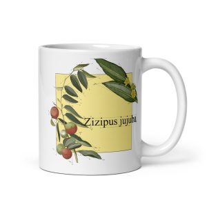 Tazza con illustrazione botanica di Ziziphus jujuba
